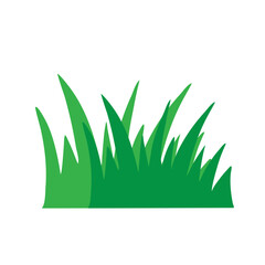 Simple Flat Green Grass