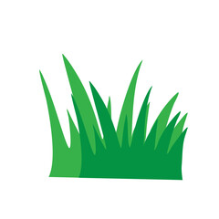 Simple Flat Green Grass