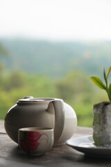 Morning Drink of Hot Tea in the mug and cup with Green tea Cake in Mae tang Chiang Mai Thailand 