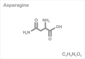 Asparagine. Simplified structural formula. Component of e.g., beer, black coffee and mold cheese.