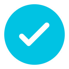 Check Mark Button icon vector