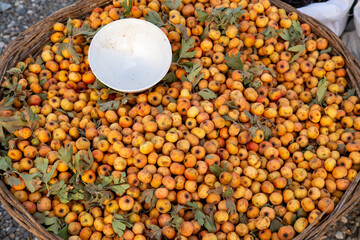 dry fruits food eating