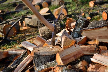 A pile of chopped wood in an orchard in the village