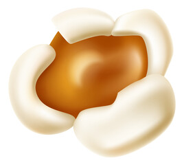 Cinema fast food. Realistic popcorn kernel. Delicious snack