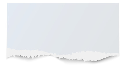 Obraz premium Ripped paper blank mockup. White torn piece