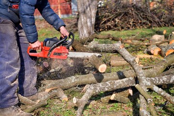 The traditional way of sawing a tree with a chainsaw