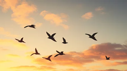 Gordijnen Birds Migrating in Formation © Creative Station