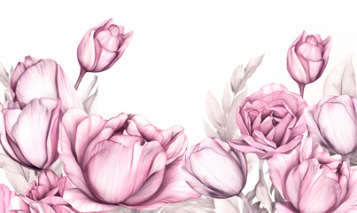 pink rose isolated on white , watercolor style
