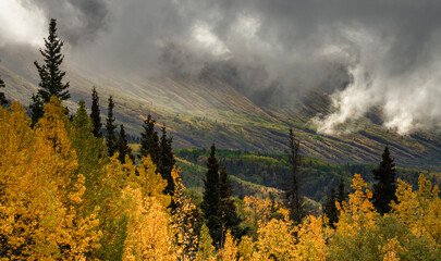 sunrise in the mountains