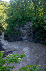 Muddy water flow of a stormy river among the green forest of a mountain gorge.