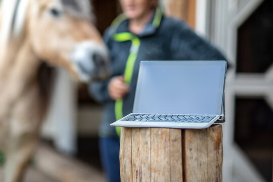 Horse owner as digital online clients: A laptop in front of blurred horse and owner paddock scene, consulting online advice and online shopping as horse owner