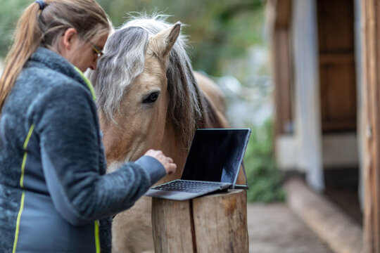 Horse owner as digital online clients: A laptop in front of blurred horse and owner paddock scene, consulting online advice and online shopping as horse owner - Powered by Adobe