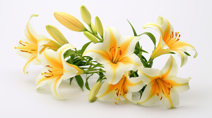 Fresh lilies on neutral background.