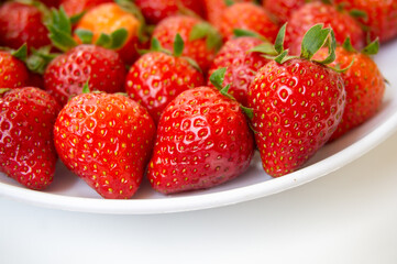 Fresh strawberries just picked from the tree on a white background