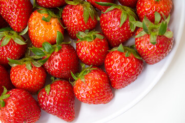 Fresh strawberries just picked from the tree on a white background