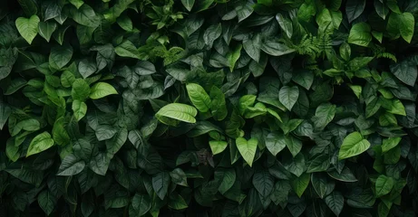 Foto op Plexiglas lush green foliage texture, showcasing detailed leaves and vibrant colors © Stock Pix