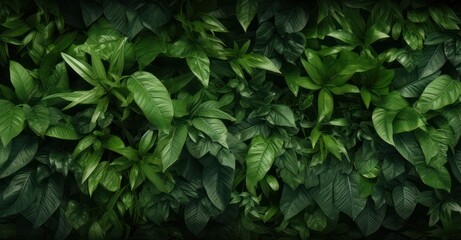 lush green foliage texture, showcasing detailed leaves and vibrant colors - obrazy, fototapety, plakaty