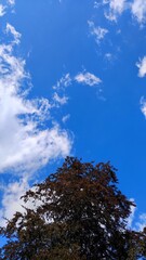 Obraz premium sky and cloud