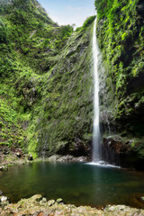 Fototapeta na wymiar Madeira - Beautiful waterfall in the end of Levada Caldeirao Verde, green rain forest jungle