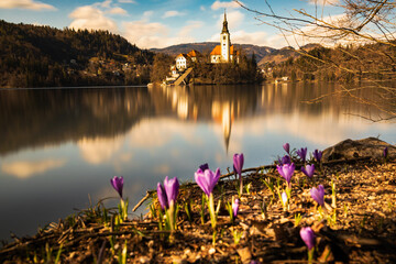 Lake Bled. Mountain lake with a pilgrimage church. Slovenia's most famous lake and island Bled with...
