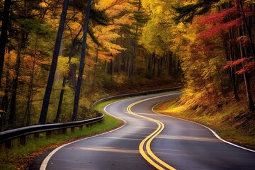 Obraz premium The road and the fall trees, generative ai