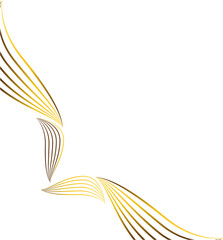 luxury elegant gold floral frame border decoration