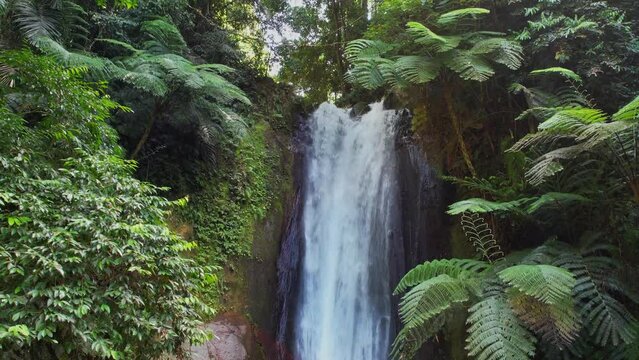 Waterfall in the tropical jungle