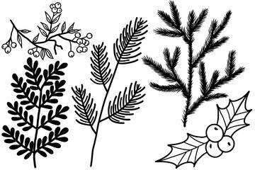 A set of simple winter twigs. Doodle plants for decoration. Spruce branches for the New Year holidays.