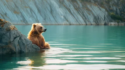 Fotobehang A brown bear relaxing by a lake © piknine