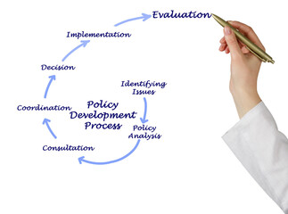 Components of Policy Development Process