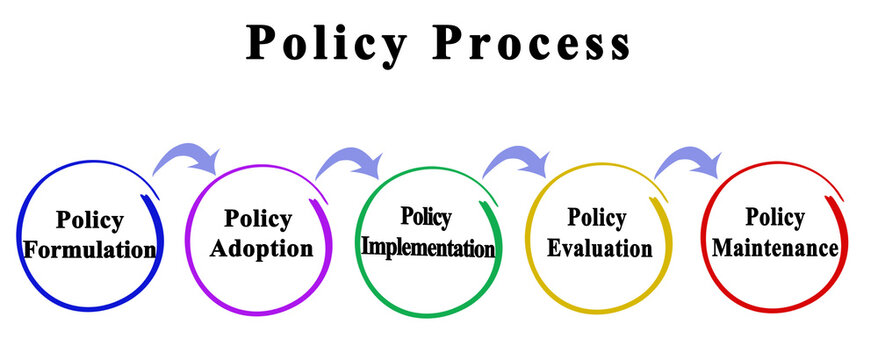 Five Components of Policy Process
