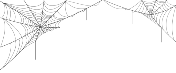 Foto op Canvas Spider web vector illustration © senimanto