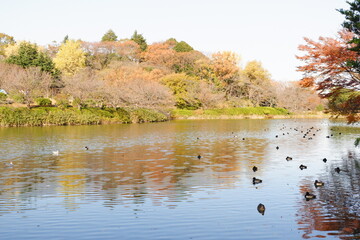三ツ池公園、韓国庭園、横浜、日本、mituike-park、korea-park、建築、家、住居、韓国、伝統、庭園、