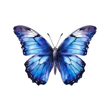 Blue butterfly isolated on white background in watercolor style.
