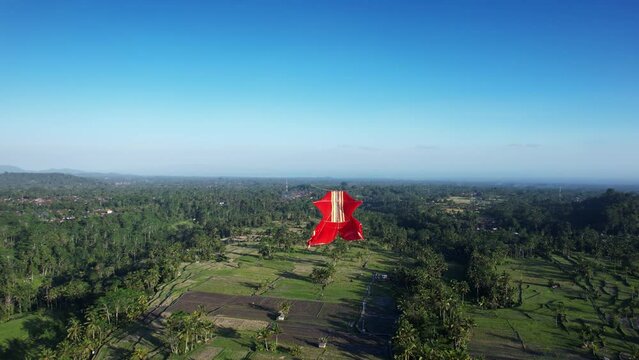 Unusual dynamic shot, camera circles close around brightly colored red kite soaring high above rice paddies and green landscape of Bali. Sunny evening and good weather, Agung mountain seen at moment
