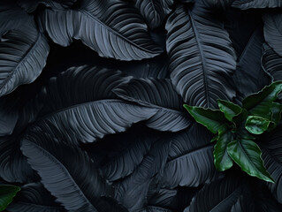 This image features abstract black leaves arranged to form a textured tropical background, blending dark and tropical elements.