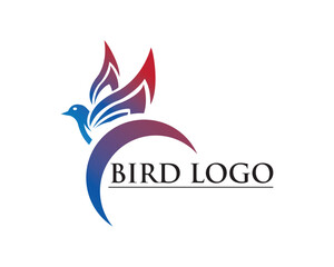 bird design, bird logo, love, dove