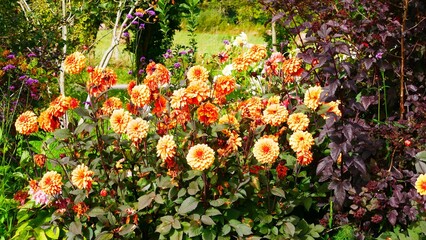 Jardin fleuri du château d'Hardelot à Condette sur la côte d'opale dans le Pas-de-Calais région...