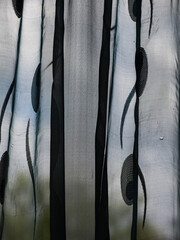 Black and white background of the subject