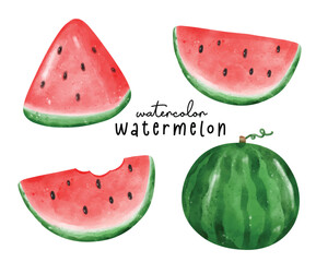 Colorful Watercolor watermelon Illustration, Hand Drawn Exotic Fruit Collection in Vibrant Watercolors