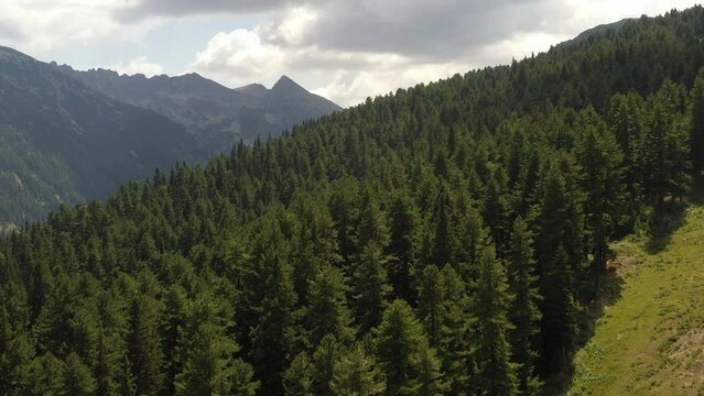 Aerial descent over pine tree evergreen forest in Pirin mountains in Bulgaria, Europe. HQ 4K Apple ProRes aerial video.