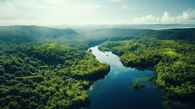 Beautiful green amazon forest landscape. view of a rainforest