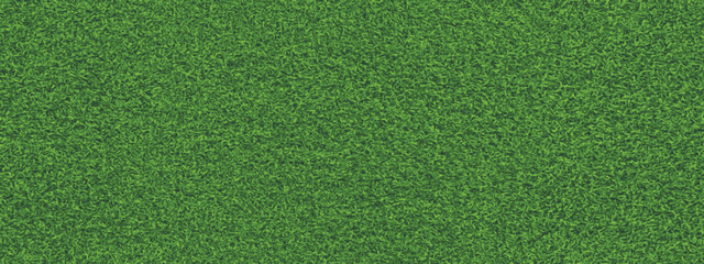 Vector green grass texture. Field background.