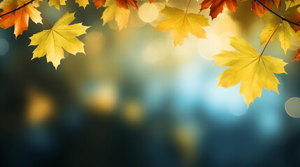 Naklejka na ściany i meble Autumn natural background, design, banner or template. Yellow and red maple leaves are flying and falling down. Autumnal landscape.