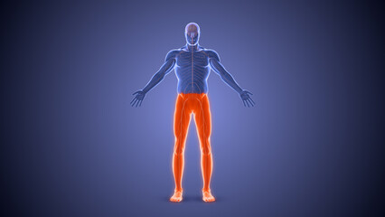 Paraplegia paralysis condition medical concept