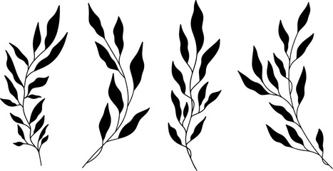 Set of silhouettes branches with leaf and stem in modern style. Vector leaves isolated collection. Hand drawn decorative botanical elements for wedding invitation cards. © raptorscollective