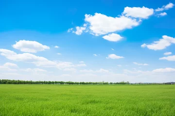 Foto op Canvas 美しい草原と青空イメージ01 © yukinoshirokuma