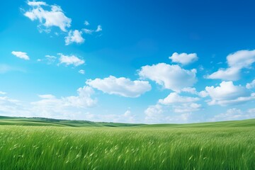 Fototapeta na wymiar 美しい草原と青空イメージ05