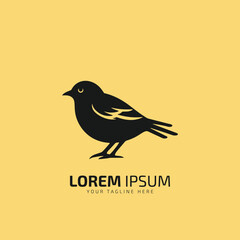 Bird Logo design abstract vector template linear style on a yellow background