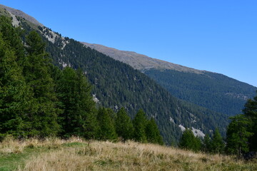 Fototapeta premium Schöne Landschaft mit Bergen im Ultental in Südtirol 